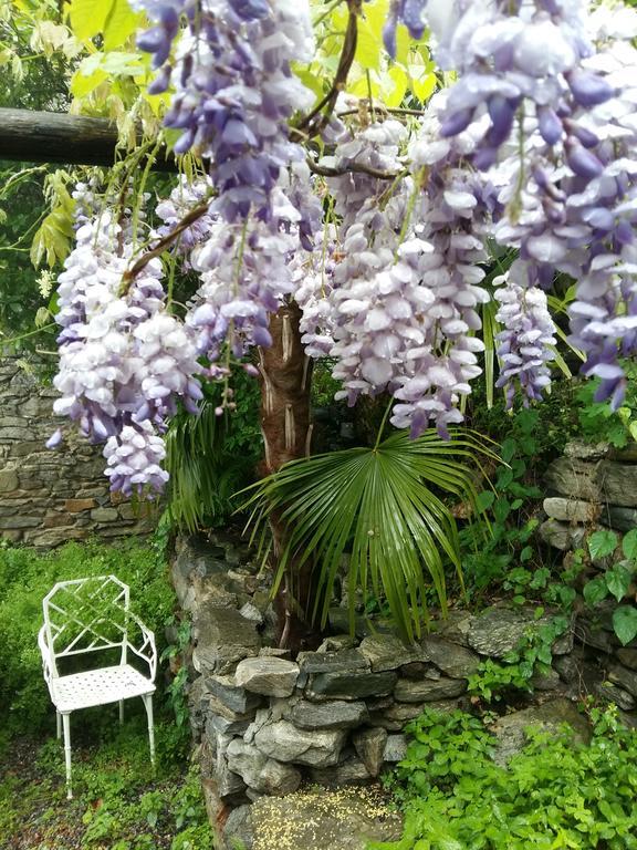 Apartment Casa Grillino Locarno
